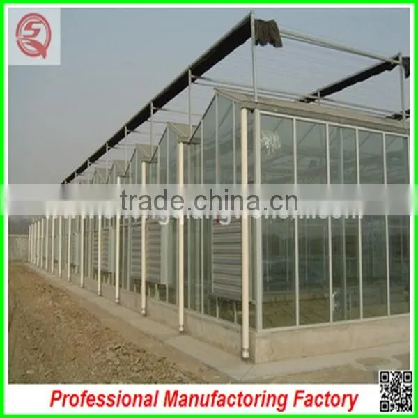 Economic and Practical PC Sheet Multi-span Greenhouse With Professional Manufacturer photo-2