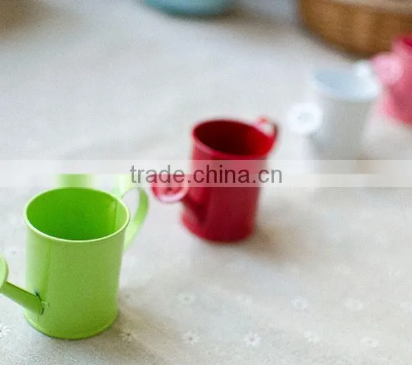 Cheap Small Indoor 2 or 2.5 Inches White Metal Flower Watering Can Mini Planter for Succulents photo-5