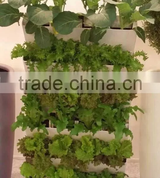 Green Wall Flower Pot photo-3