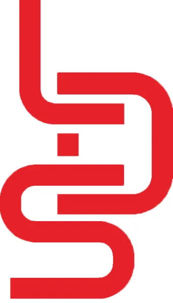 Shenzhen Leading Shine Electronic