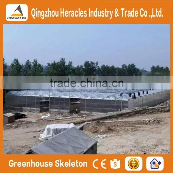 Top Sale Trade Assurance Polycarbonate Agricultural Greenhouse From China Supplier photo-5