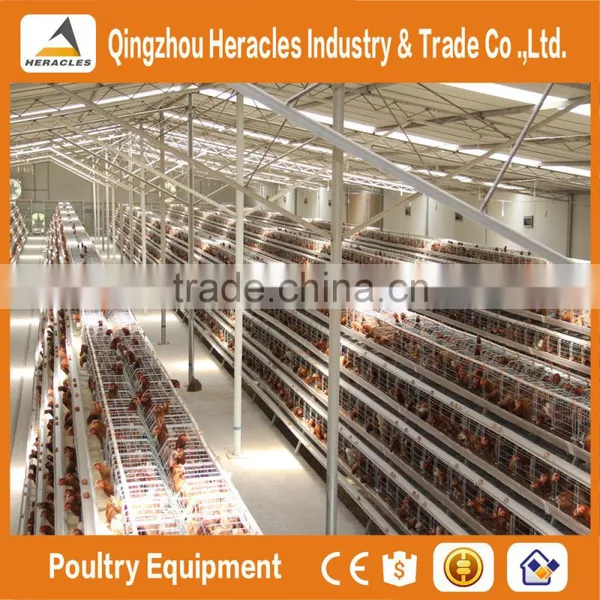 Qingtzhou Heracles High Quality Poultry Egg Layer Chicken Cage Price photo-4