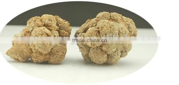 Organic Panax Notoginseng / Pseudo-ginseng /San qi /Sanchi Powder P. E. Herbal Dietary Supplement 3 Years Gro photo-2
