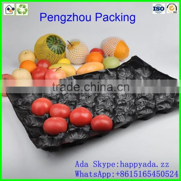 pp Tray PP Fruit Tray For Tomato photo-6