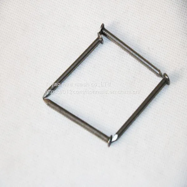 Construction Common Nail With Low Price photo-5