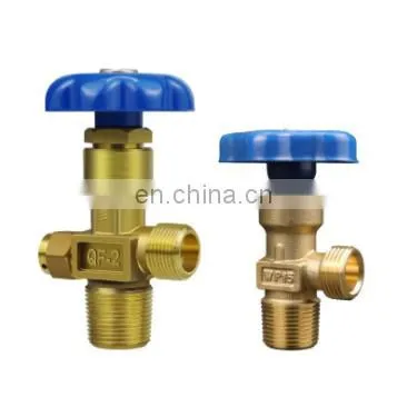 Avtive Timer E320 Main Pentair Forklift Remote Control Valve
