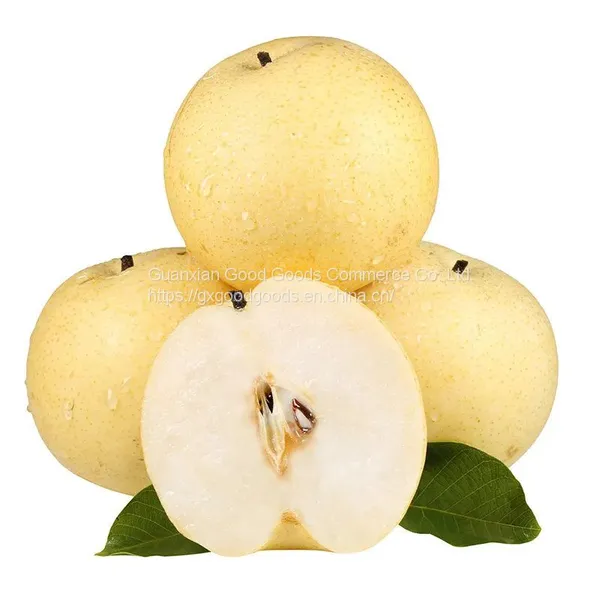 Fresh Fruit Pears/Ya Pear/Fragrant Pear/Crown Pear/Qiuyue Pear/Golden Pear photo-4