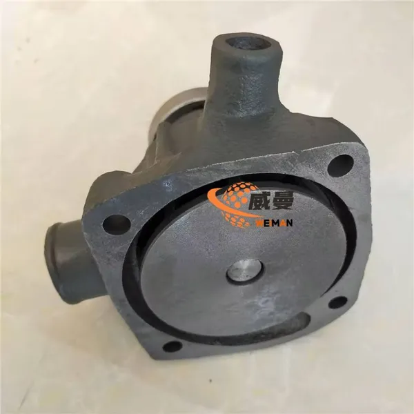12273212 Water Pump for WeichaIi TD226B Engine photo-1