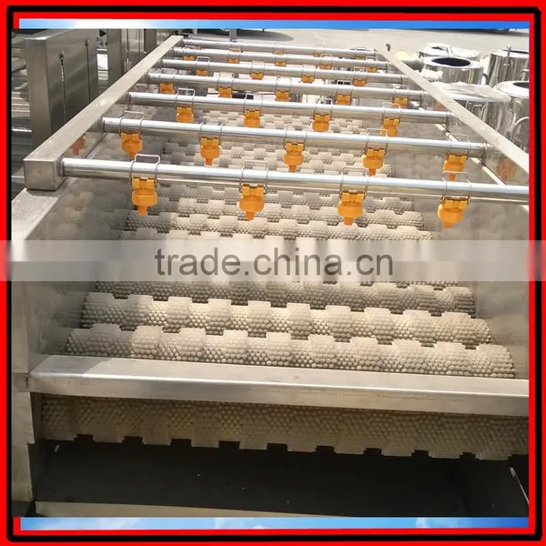 Commercial Red Date Washing Machine|Automatic Olive Cleaning Machine photo-3