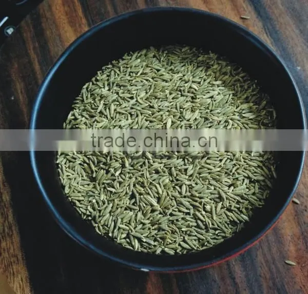 High Quality Low Price Fennel Seed