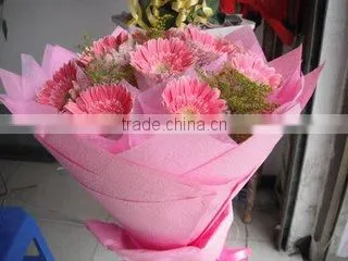 Red Hydrangea Fresh Cut Flowers Good Sellers From China photo-6