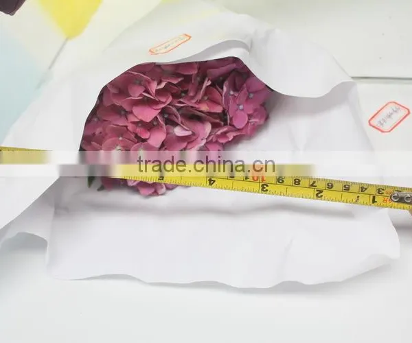 Fresh Hot Sale European Style Flower Hydrangea photo-2