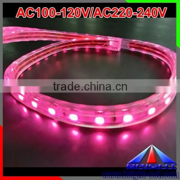 220v LED Strip photo-3