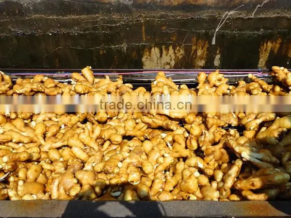 China Ginger Price