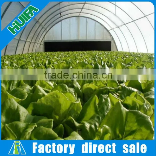 Plastic Greenhouse Vegetable Grow Tent photo-3