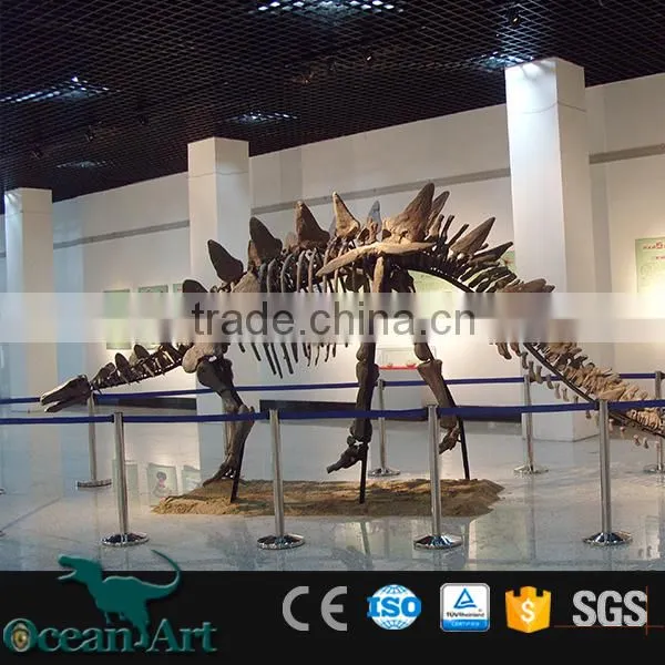 OAV3126 1:1 Dinosaur Skeleton Model photo-5
