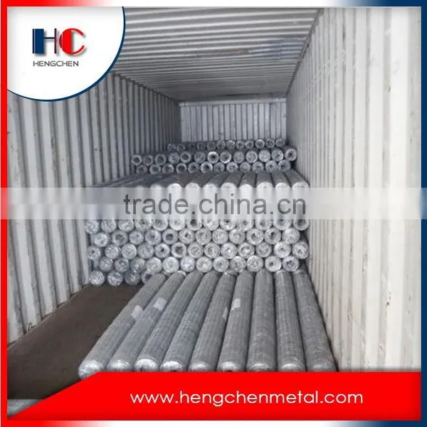 Bwg17 Galvanized Hexagonal Retaining Wall Wire Netting photo-2