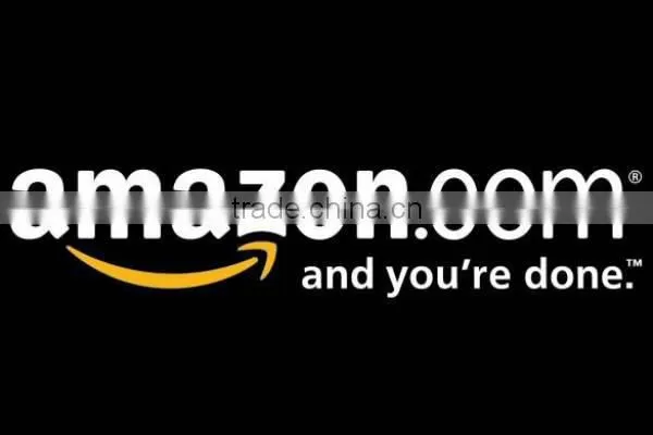Amazon Professional Cheap Express Door to Door Service From China to USA photo-5
