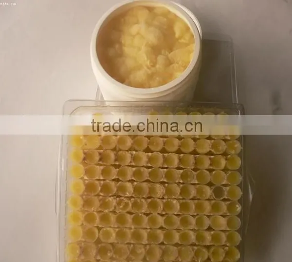 Bee Royal Jelly Powder photo-4