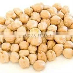 Protein Chickpeas Wholesaler