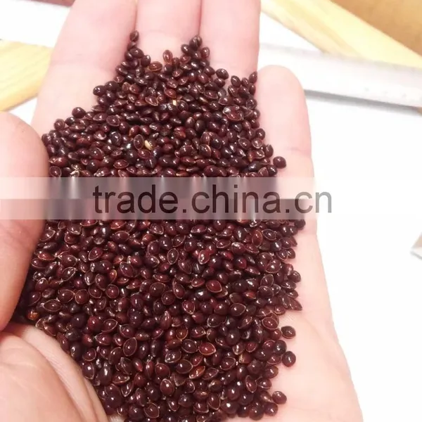 BLACK MILLET photo-2