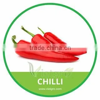 HIGH QUALITY FRESH DOWNWARD RED CHILLI