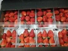 SWEET& FRESH STRAWBERRY photo-2