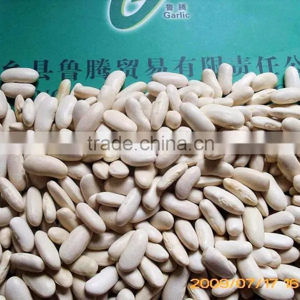 Best Factory Price of White Kidney Beans photo-3