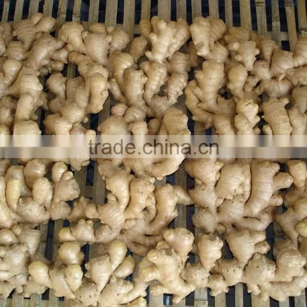 Ginger Root Price photo-4