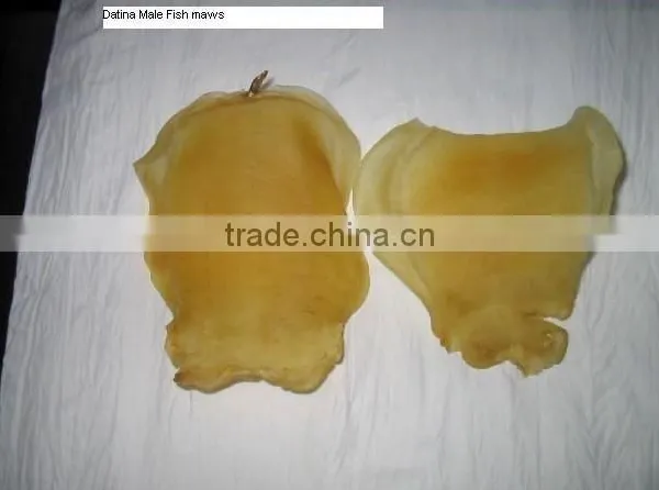 High Quality Dried Fish Maws From Bangladesh photo-2
