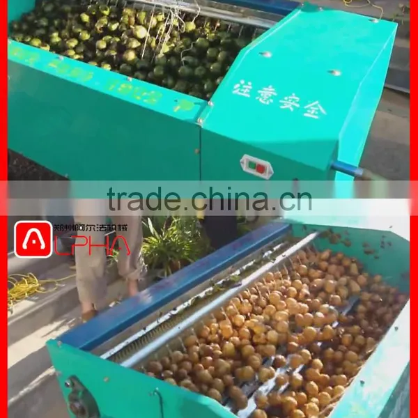 CHEAP PRICE AUTOMATIC Walnut Shell Breaking Machine/walnut Peeling photo-3