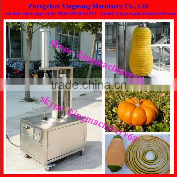 Wax Melon Skin Removing Machine 0086-15938761901 photo-4
