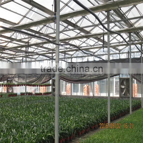 Natural Ventilation Green House for Vegetables photo-5