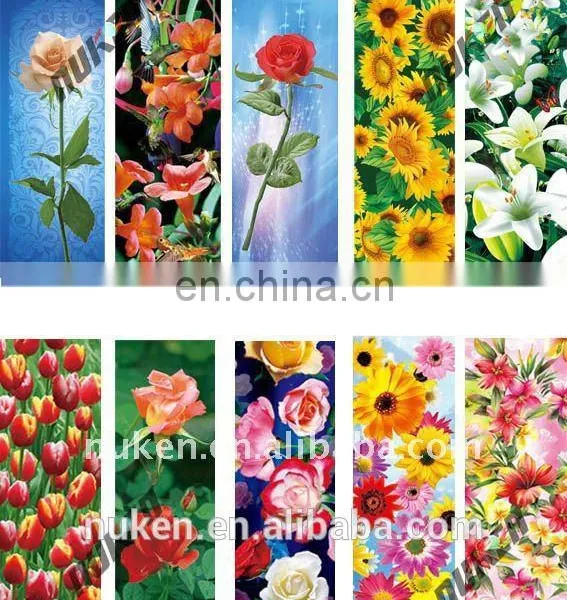 2D to 3D Lenticular Pictures Designing Service photo-3