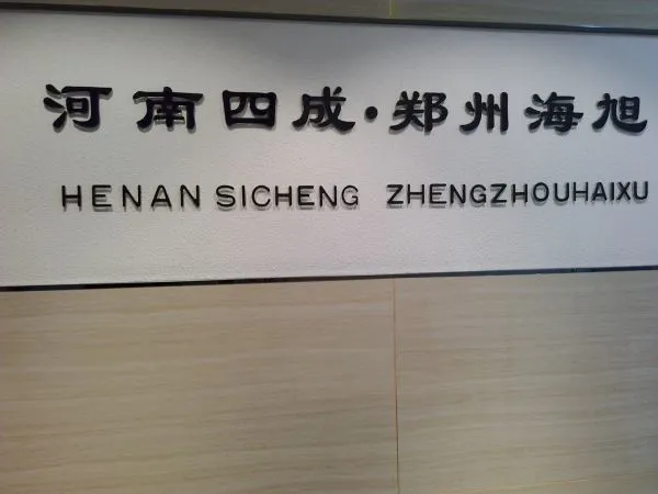 Henan Sicheng Abrasives Tech Co., Ltd company overview - view 2