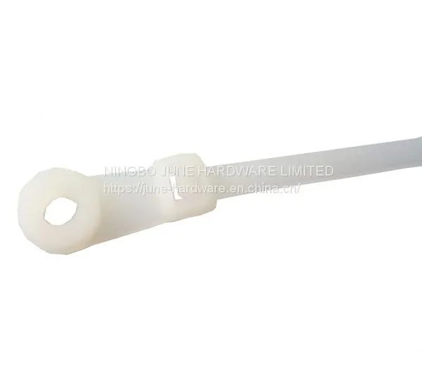 PA66 nylon cable tie