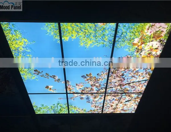 2015 Led Sky Ceiling Panel Blossom Image photo-2