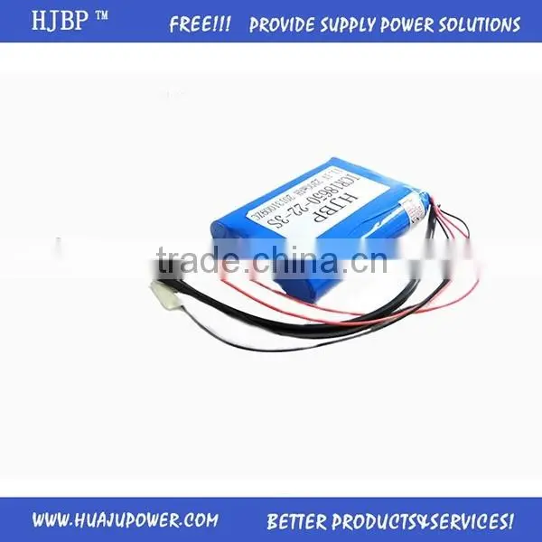 Can be Customized12V/24/36/48V 12v Lithium Battery photo-2