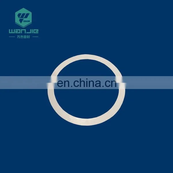 Hardware Accessories Ptfe Seal Ring Ptfe Flat Gasket Plastic Nylon Washer