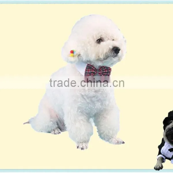 Pet Accessories Cheap Wholesale photo-2