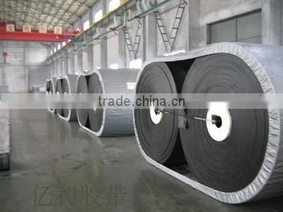 Nylon Conveyor Belt Factory With ISO 9001, ISO14001, OHSAS18001 Standard Certificate photo-2