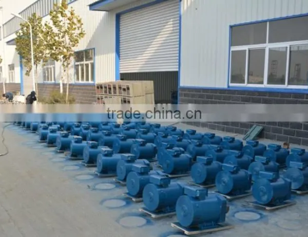 STC/ST 3phase AC Synchronous Generator photo-5