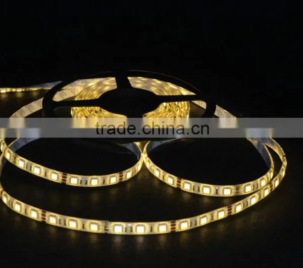 Festalight 2016 Outdoor 12V 60 Leds Strip Light 5050 photo-3
