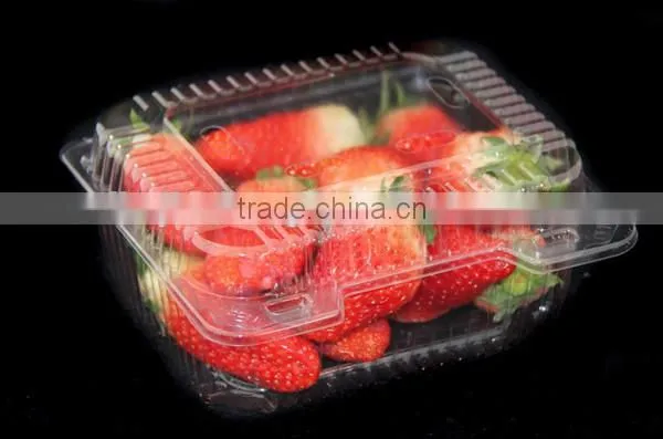Plastic Clear Strawberry Packaging Box With Lid photo-5