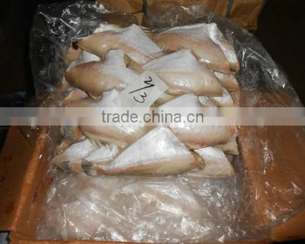 FROZEN LEATHER JACKET FISH photo-3