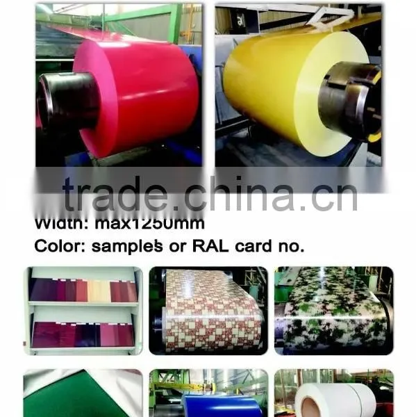 Ppgi photo-2