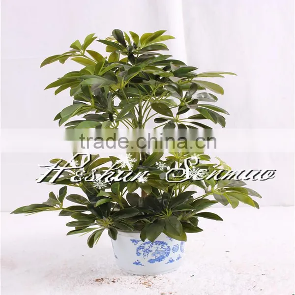 Wholesale High Quality Artificial Small Tree Bonsai for Indoor Outdoor Decoration photo-2