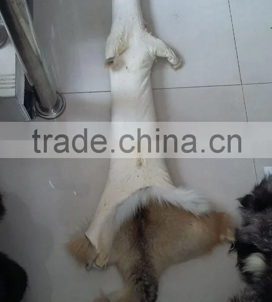 Real Silver Fur Skin / Natural Fox Fur Skin / Tanned Red Fox Fur Skin For Coat Quality Choice photo-6