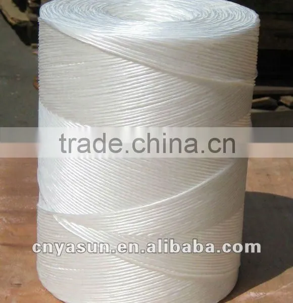 PP Split Film Making Machine/PP Raffia Twine Film Extrusion Line photo-6