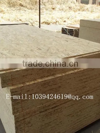 18mm E1,E2,E3 Osb Boards Made in Linyi China photo-5